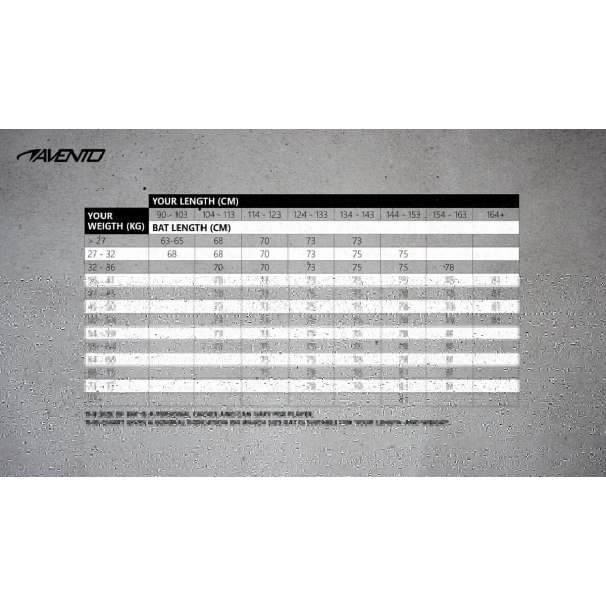 Beisbolo lazda aliumin AVENTO 47AE 75cm Silver 4