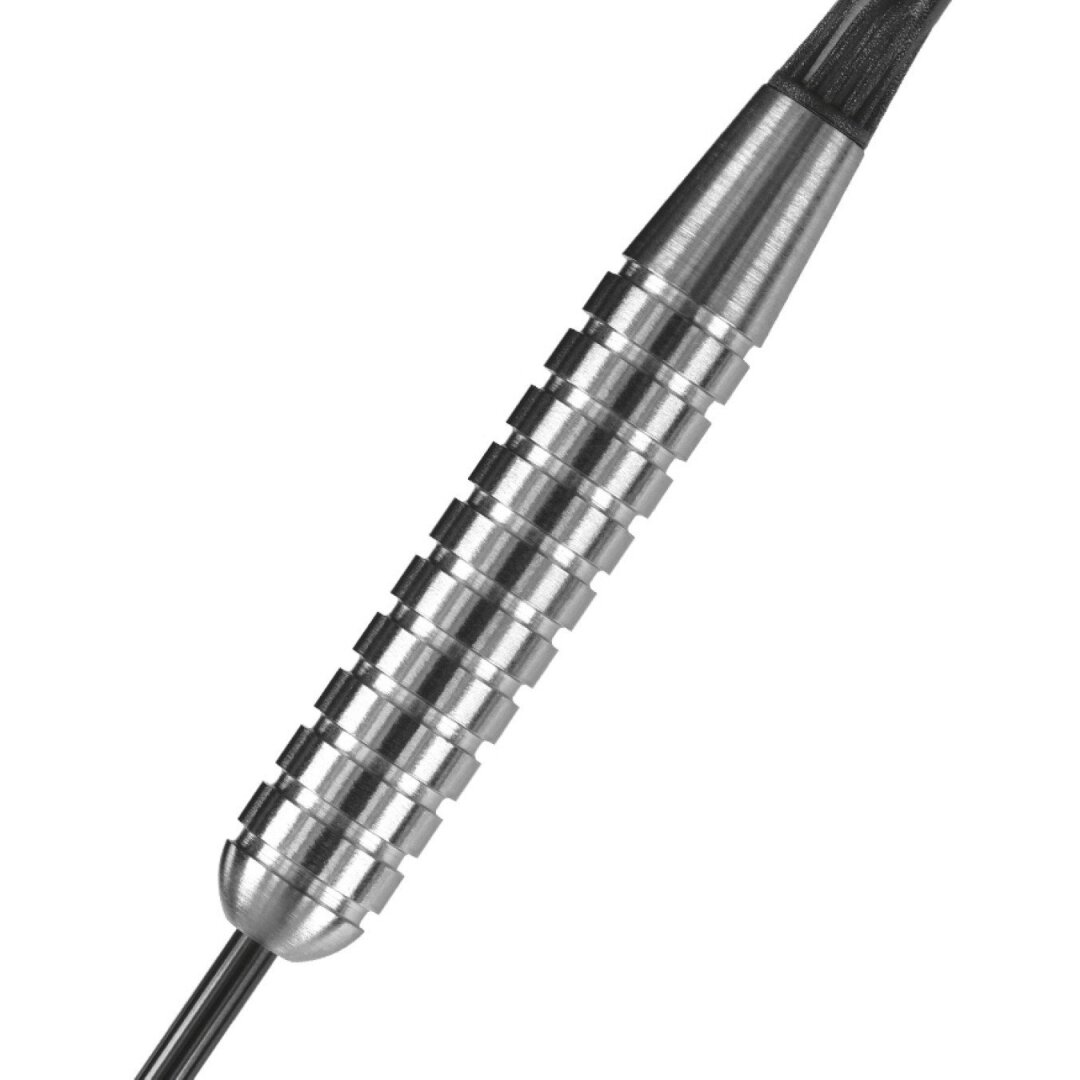 Darts Steeltip ASSASSIN HEAVY W80 3x30gR 2