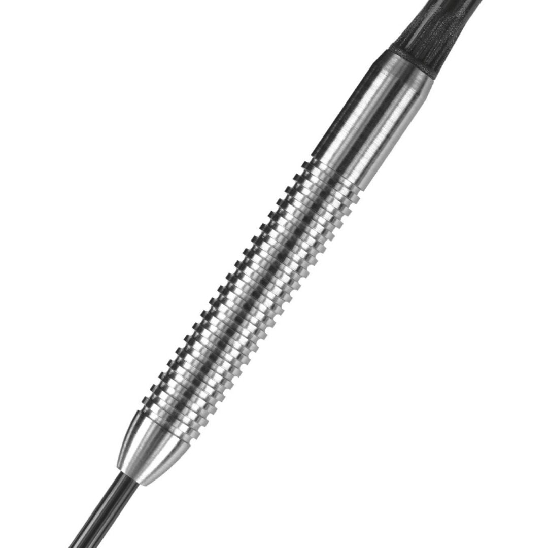 Darts Steeltip ASSASSIN W80 3x21gR 2 Darts Steeltip ASSASSIN W80 3x21gR 2
