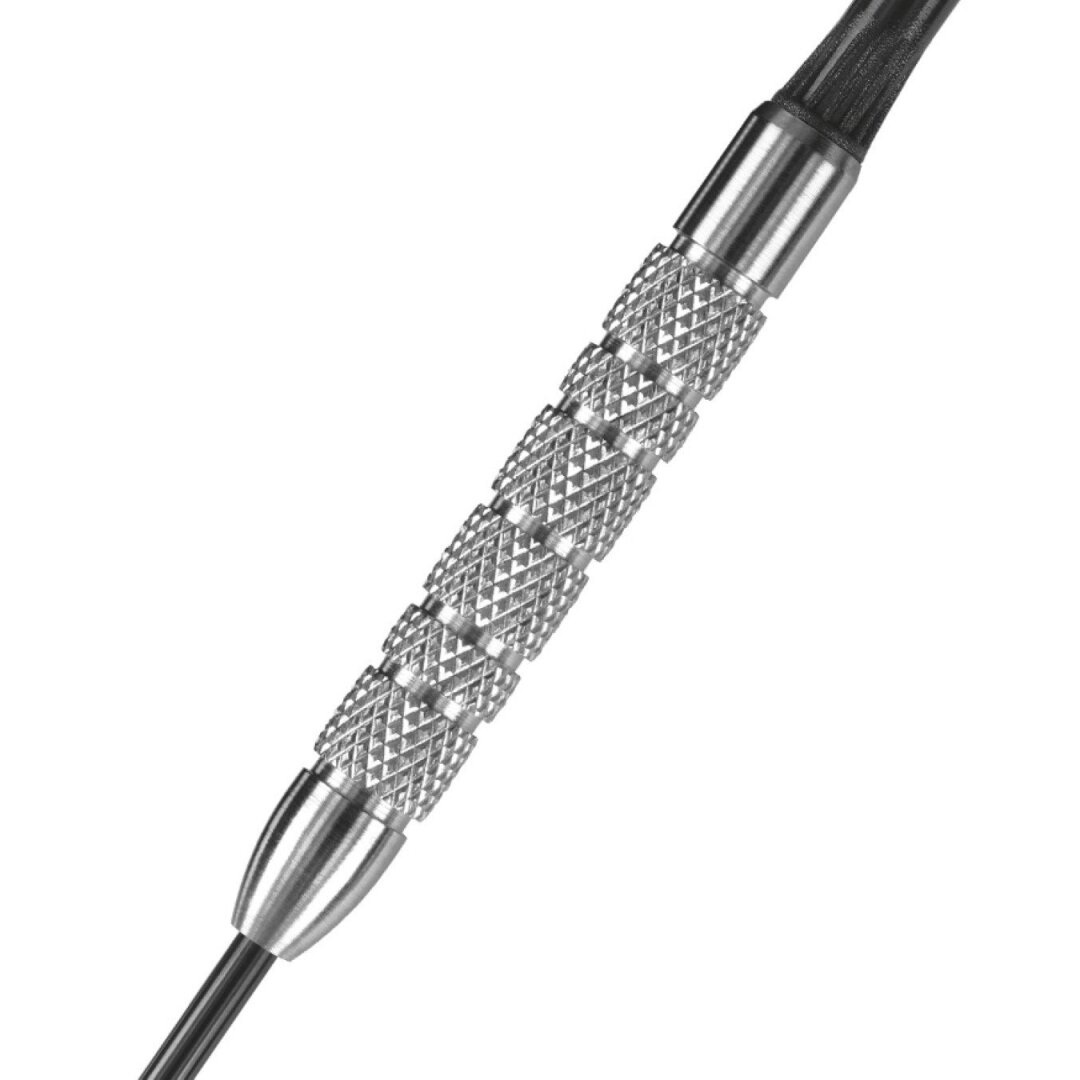 Darts Steeltip ASSASSIN W80 3x22gR 2