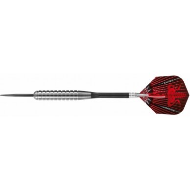 Darts Steeltip ASSASSIN HEAVY W80 3x30gR 1