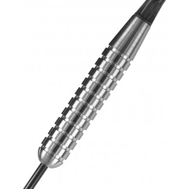 Darts Steeltip ASSASSIN HEAVY W80 3x30gR 2