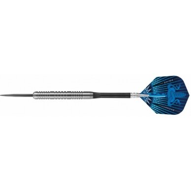 Darts Steeltip ASSASSIN W80 3x22gR 1