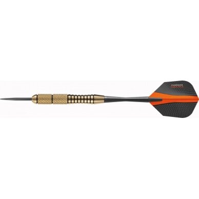 Darts Steeltip MATRIX 3x20g 1