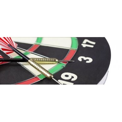 Darts taikinys HARROWS BRISTOW'S FAMILY 1