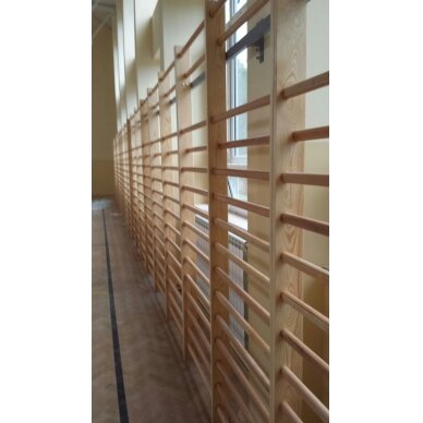 Dviguba gimnastikos sienelė Wood-Line 2,5x1,80x0,10m 1 Dviguba gimnastikos sienelė Wood-Line 2,5x1,80x0,10m 1