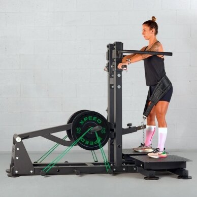 Ffittech Belt Squat FFBS40 2