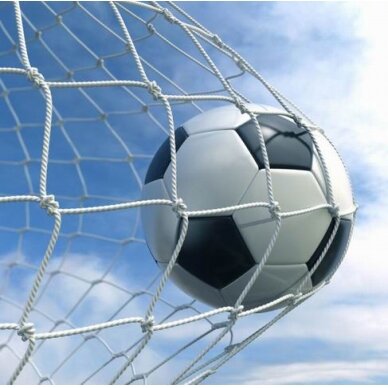 Futbolo vartų tinklas Netex 5x2x0,8x1,5m PE4mm (2vnt) 1 Futbolo vartų tinklas Netex 5x2x0,8x1,5m PE4mm (2vnt) 1