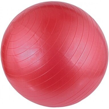 Gimnast. kamuolys 55cm AVENTO 42OA Pink