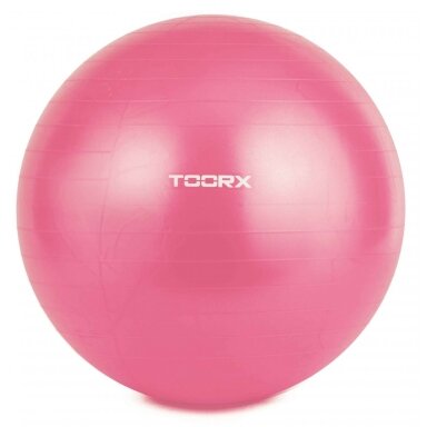 Gimnast. kamuolys 55cm TOORX AHF-069  su pompa