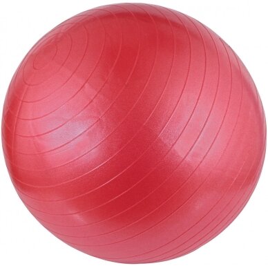 Gimnast. kamuolys 55cm AVENTO 42OA Pink