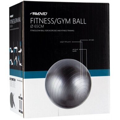 Gimnast. kamuolys 65cm AVENTO 42OB Silver 1