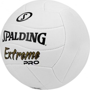 PLIAŽO TINKLINIO KAMUOLYS SPALDING EXTREME PRO