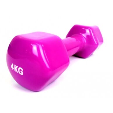 Šešiakampis aerobikos hantelis Prove 4kg (1vnt)