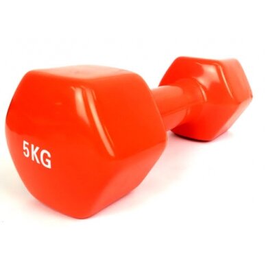Šešiakampis aerobikos hantelis Prove 5kg (1vnt) Šešiakampis aerobikos hantelis Prove 5kg (1vnt)