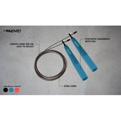 Šokdynė AVENTO 42HO 290cm Steel Black 1