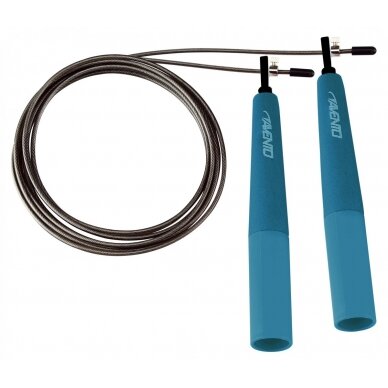Šokdynė AVENTO 42HO 290cm Steel Blue