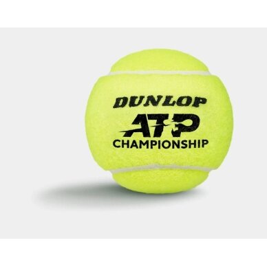 Teniso kamuol. DUNLOP ATP CHAMPIONSHIP 4-tube ITF 2