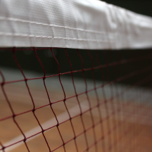 Badmintono tinklai, ribos