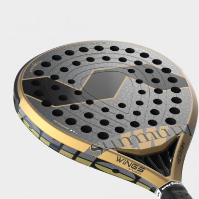 Padelio raketė Varlion LW Carbon Goldblack 2025 1